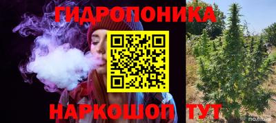 шишки Комсомольск-на-Амуре
