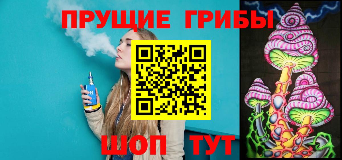 Галлюциногенные грибы Psilocybe  Галлюциногенные грибы Psilocybe  Качканар  Вход с VPN 