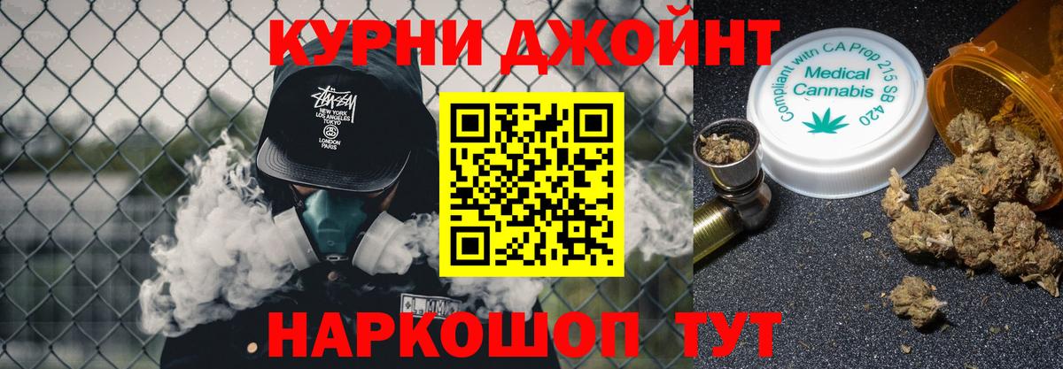Качканар  Канабис план  Шишки марихуана сатива  Конопля сатива  Вход с VPN 